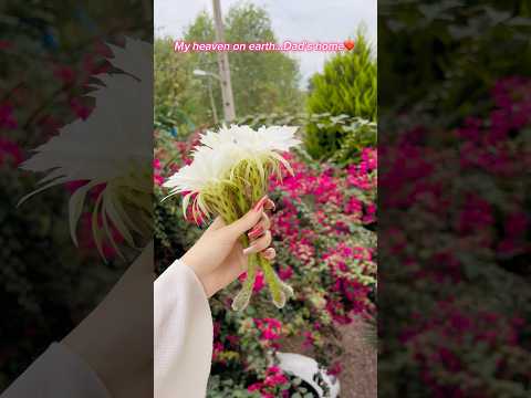 #shorts #naturalnails #asmr #nails #longnaturalnails #satisfying #nailcare