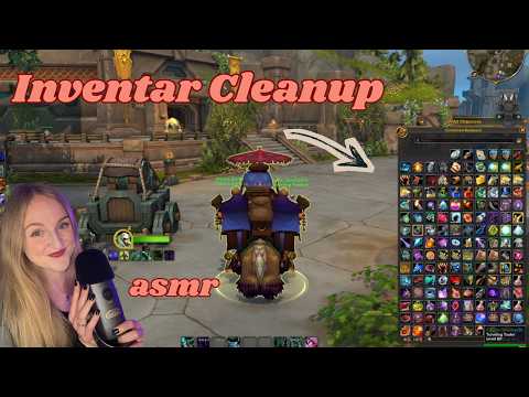 Organizing my messy inventory / World of Warcraft ASMR
