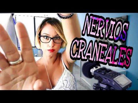 ASMR EXAMEN NERVIOS CRANEALES- Sesión muy relajante