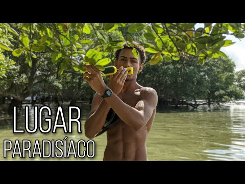 ASMR em um LUGAR PARADISÍACO + de um JEITO que você NUNCA VIU !!