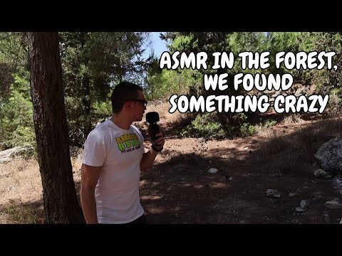 ASMR in the 🌲Forest🌲: We Found Something Crazy 🔍