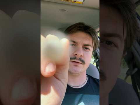 Face brushing #asmr #visualasmr #visualtriggers #raeasmr #facebrushing #asmrfacebrushing