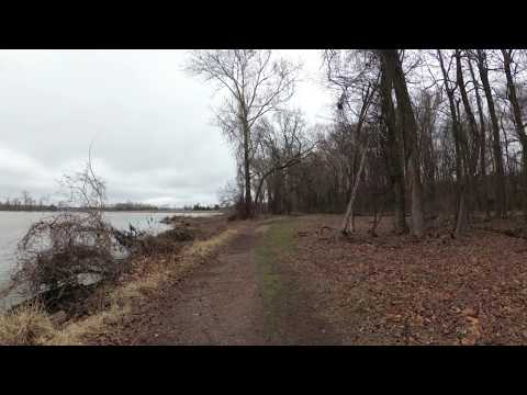 ASMR Hiking by a Calm River With Chirping Birds (Part 2)