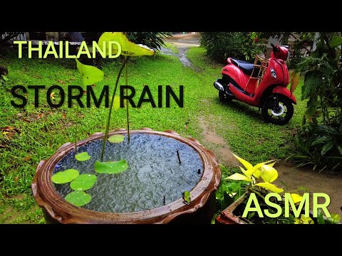 ASMR tropical storm rain in Thailand