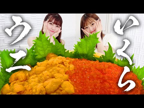 【モッパン風ASMR】巨大ウニいくら丼