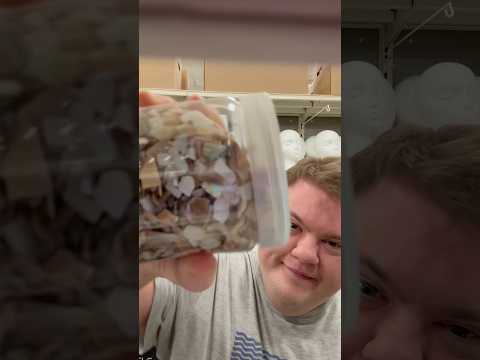 ASMR IN MICHAEL’S! #asmr #asmrsounds #short