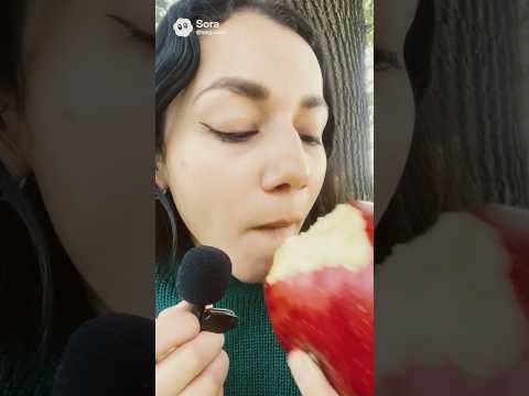 ASMR manzana short