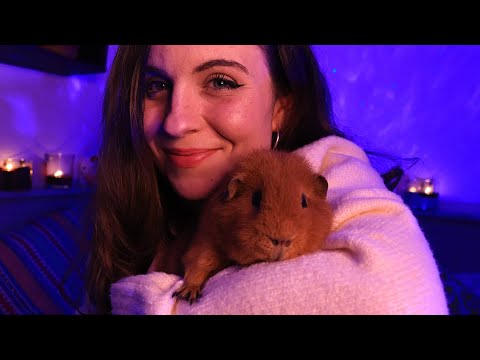 CANAP' DU DIMANCHE #1 ☕️ Mes animaux de compagnie ❤️🐹🐱 ASMR