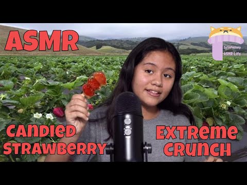 ASMR Eating Candied Strawberries! Extreme Crunch (Whispering)