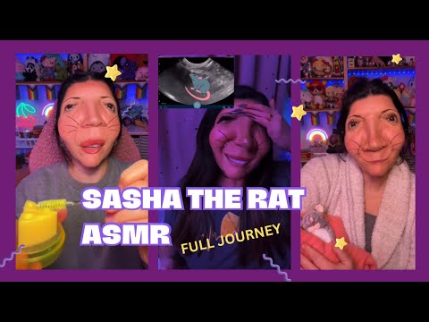 Sasha, the rat that lives under your kitchen does ASMR (full journey & pregnancy!) ❤️