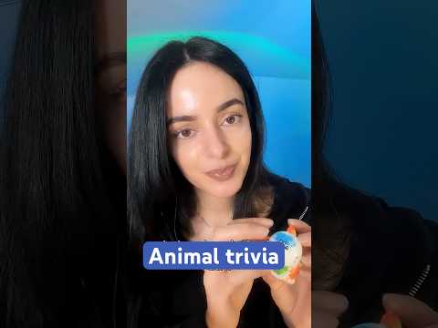 Fun animal trivia ✨ #asmr #sleep
