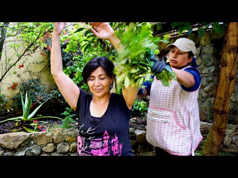 Spiritual Cleansing (Limpia Espiritual) with quiet ASMR Massage 🤫