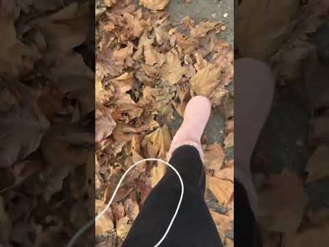 Crispy 🍂 🍁 leaves sounds 🥰 #shorts_ #asmrtriggers #asmrsounds