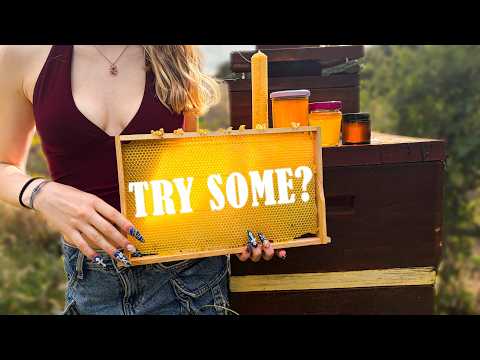 ASMR Showing you my Honeycomb & Selling You My Local Honey 🍯 🐝[Soft Spoken]