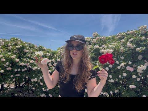 being joyful is a radical act & stealing wildflowers