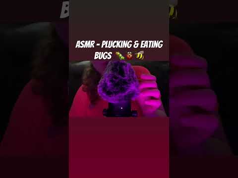 ASMR - Plucking & Eating BUGS 🐛🐞🐝 #asmr #mouthsounds #shortsasmr #stressrelief