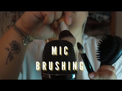 ASMR - Mic Brushing (NO TALKING)