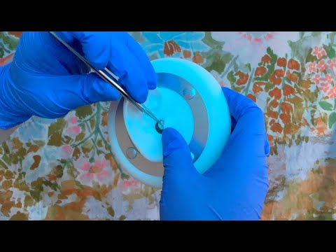 ASMR | Gentle Earwax Removal - Soft Spoken, Gloves, Visual Triggers