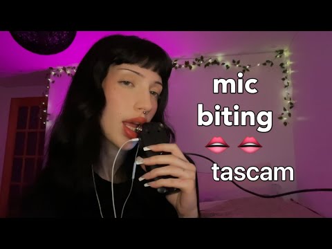 asmr ♡ mic biting, mouth sounds, mic eating, talking