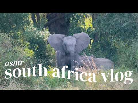 asmr | south africa vlog ft. baby animals (voiceover)