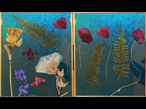 Arranging Pressed Flowers / Soft Spoken ASMR