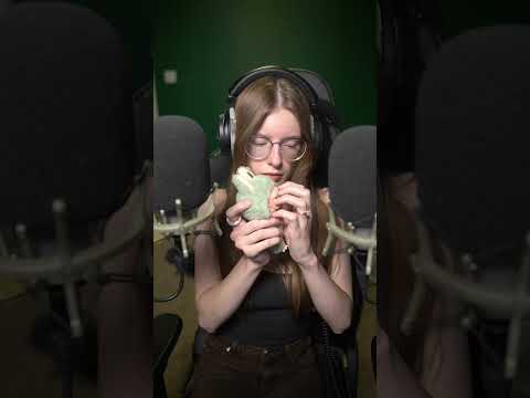 Labubu ASMR  #asmr #tapping #relax #shorts #labubu