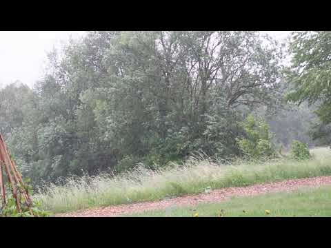 🌧️ Fall Asleep Fast with Real Rain Sounds | Peaceful Nature Ambience