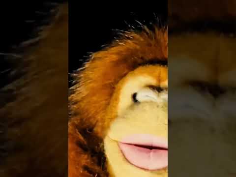 WTH ASMR #funny #memes #fy #fyp #fypyoutube #funny #funnyshorts #funnyvideo