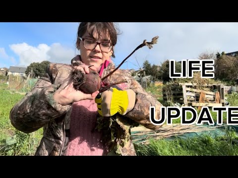 Life update ASMR | vlog | might delete later