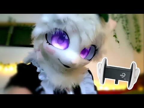 [FURRY ASMR] Napping On My Lap as I Tingle Ur Ears! 👂❤️ (3DIO!, Tapping, rubbing)