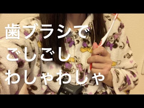 ASMR 歯ブラシで歯を磨く🦷【リクエスト動画】