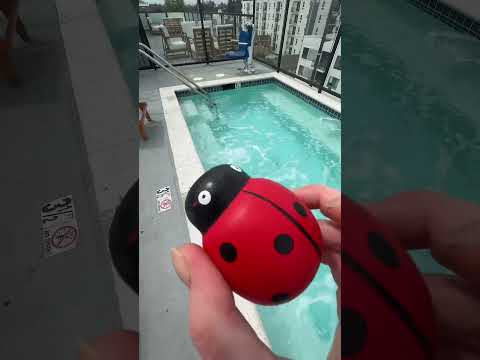 if i guess your battery percentage you’re out asmr at the pool #asmr #guessme #asmrgames #poolasmr