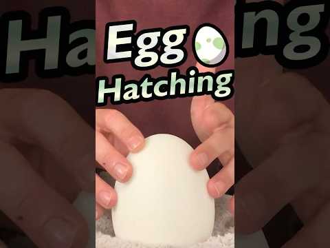 Hatching a Pokemon Egg #asmr #pokemon #shorts #asmrsounds #asmrvideos