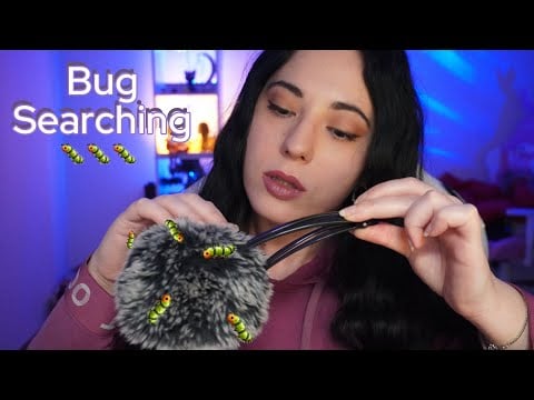 Bugs Searching ASMR