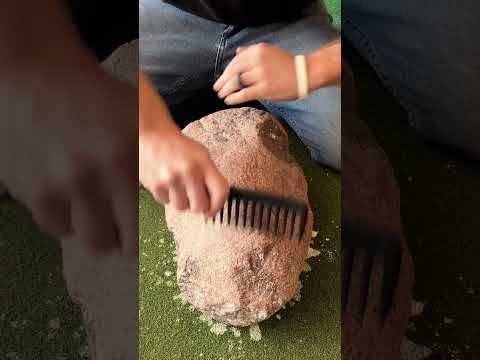 ASMR Barbershop Rock Haircut #asmr