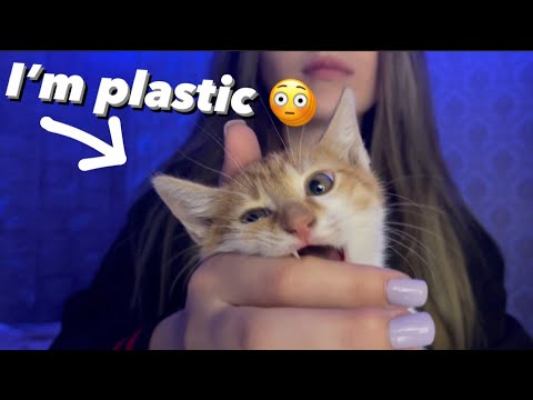 Asmr tapping on kitty in 1 minute 💗