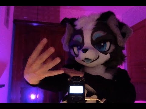 Live Furry ASMR?! More likely than you think!