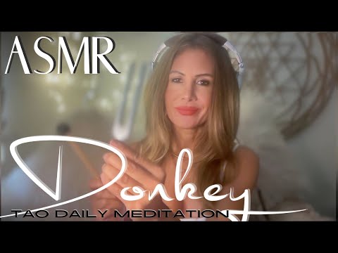 DONKEY ☯️ ASMR Tao Daily Meditation✨ DAY 333