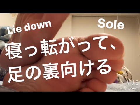 ASMR 寝っ転がって、足を向けてくる【リクエスト動画 request movie】