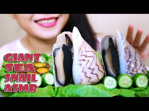 ASMR Giant Sea Snail (Extreme crunchy), Eating sound | LINH-ASMR