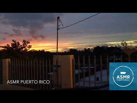 Tropical Sunset | Ocean & Nature Sounds | Peaceful ASMR Ambience