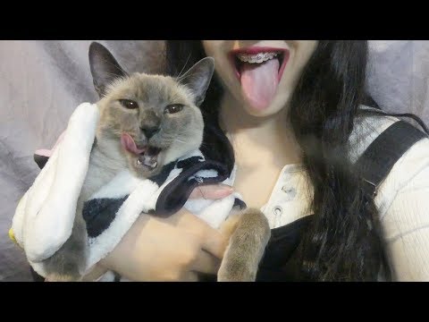 ASMR Eating Sounds - Cat Eating and Whispering!(3DIO BINAURAL)