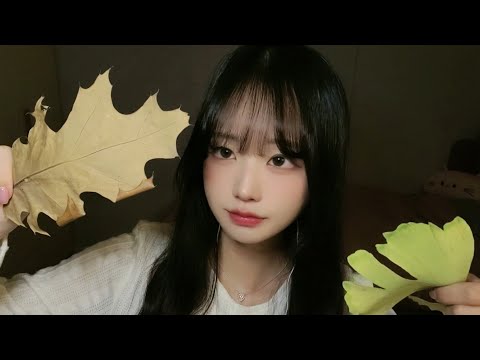 (Sub) 바삭바삭 낙엽 ASMR🍂 | 속삭임과 낙엽 밟는 소리 + 은행잎 찢는 소리