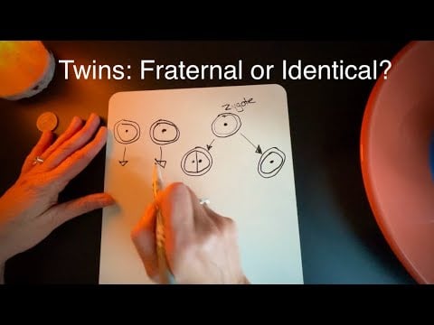 Identical or Fraternal Twins, What's the Difference? and Personal Story Ramble ~ Soft Spoken ASMR