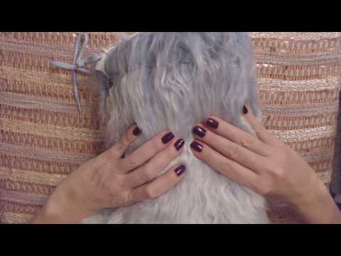 ASMR ~ Heavy Crinkle / Crackle Sounds (Whisper Intro)