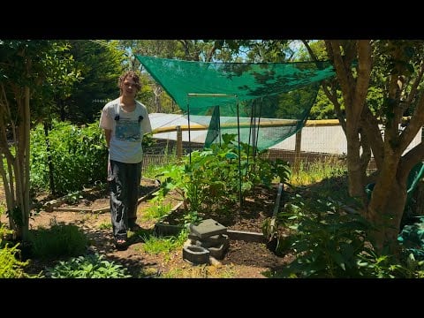 ASMR Gardening | Ep #3 | Zucchini Bed Construction