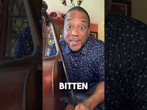 15 Things You NEVER Want to Hear From Your Music Repairman 😂