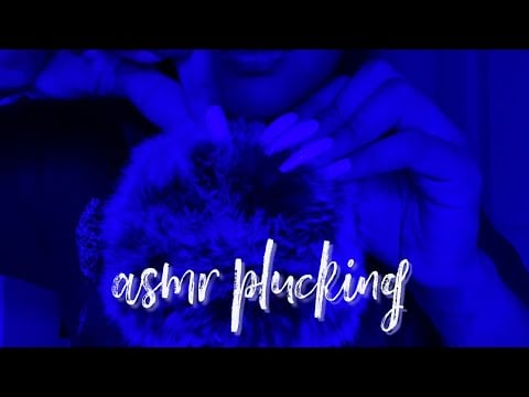 ASMR Fluffy Mic Plucking