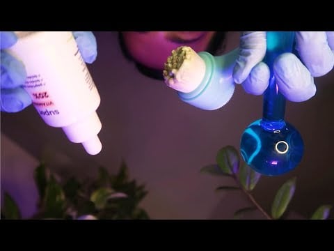 ASMR | 🍃🌺SPA da beleza🍃 Limpeza de pele natural e relaxante🫧