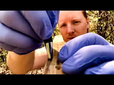 ASMR : Your Favorite Triggers For Sleep
